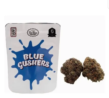 Blue Gushers Strain